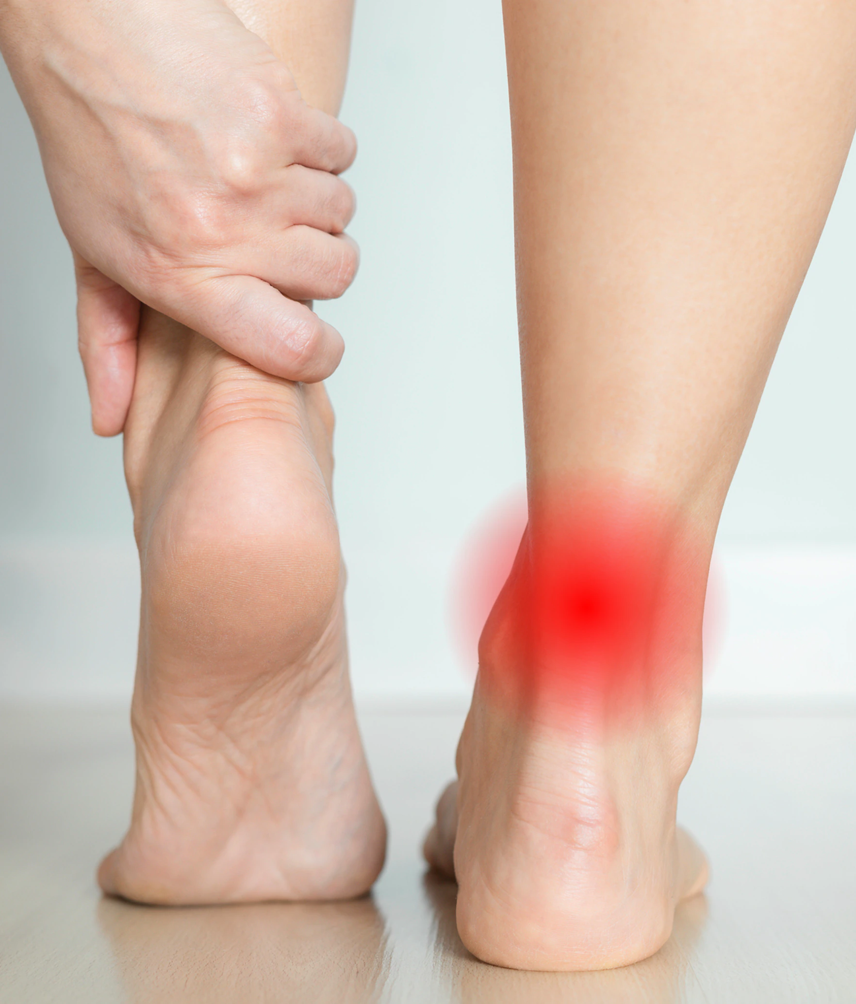 The Achilles tendon at the back of the heel and lower calf